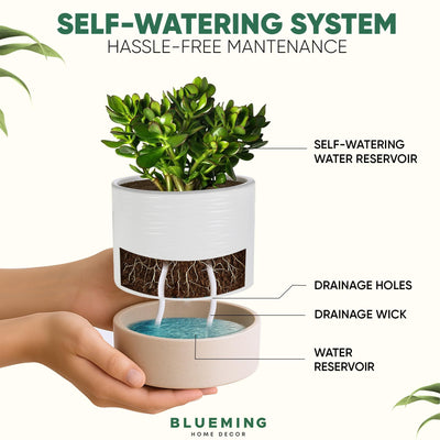 AquaVault™ Self-Watering Planter