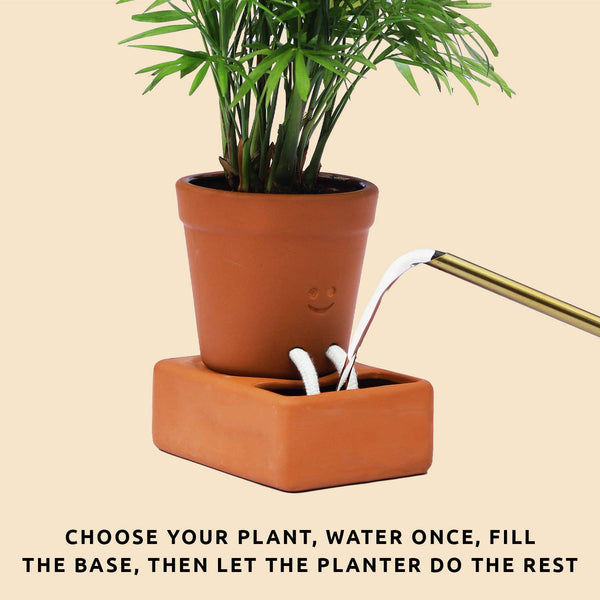 AquaVault™ Self-Watering Planter