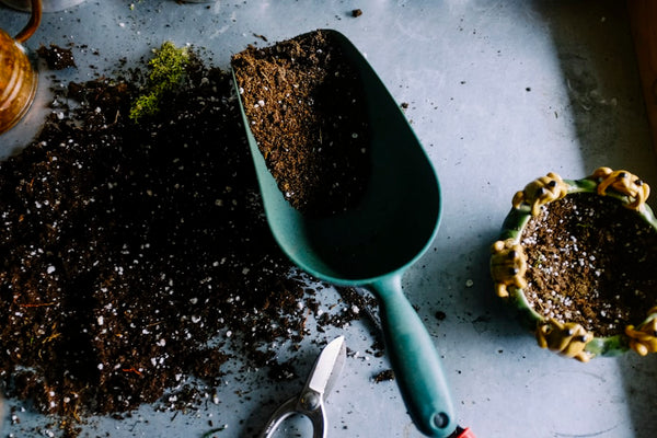 AquaVault Self-Watering Planter